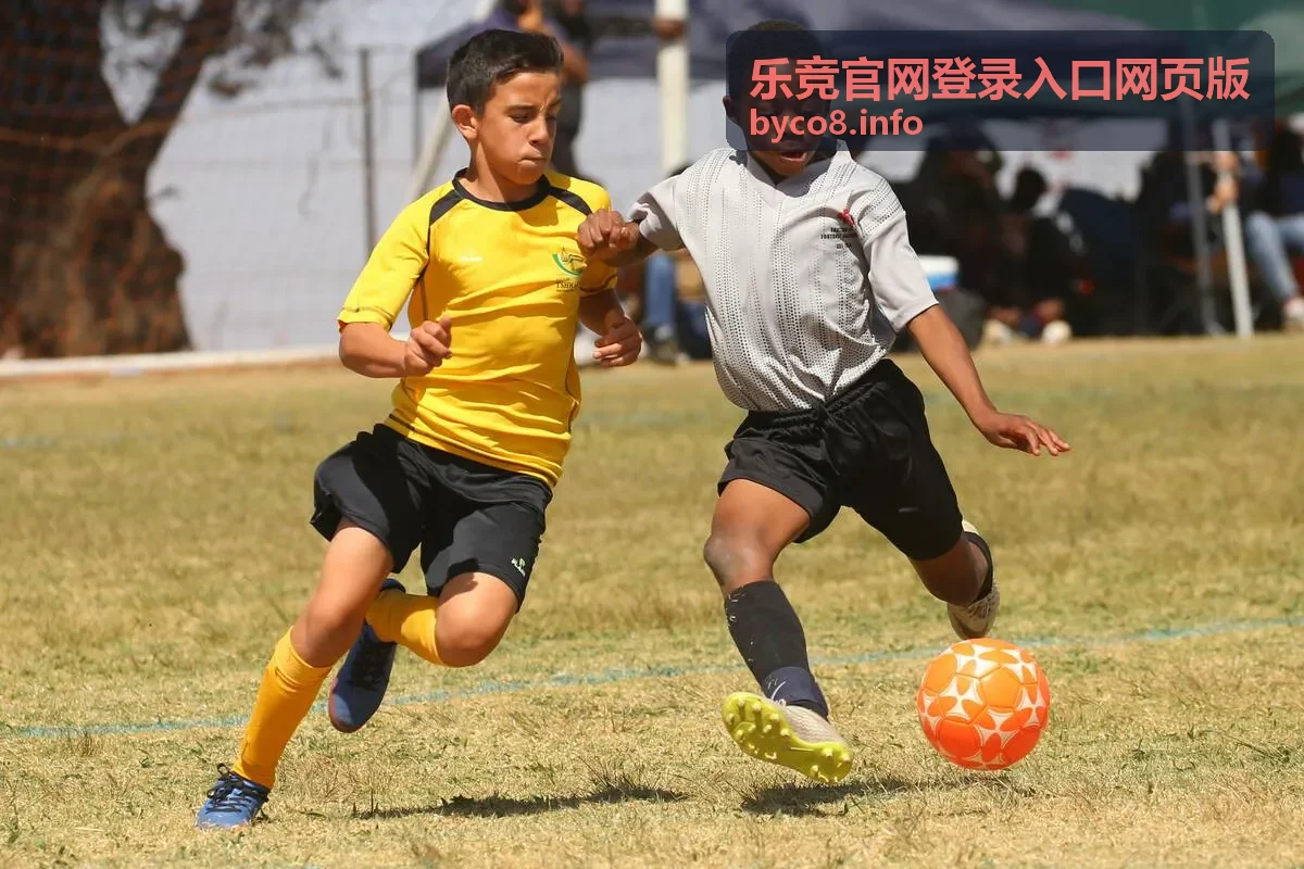 乐竞安全指南与账号保护建议
